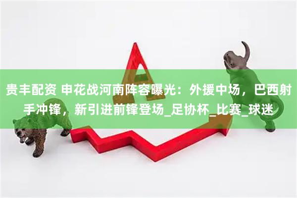 贵丰配资 申花战河南阵容曝光：外援中场，巴西射手冲锋，新引进前锋登场_足协杯_比赛_球迷