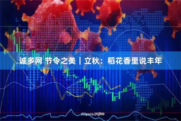 诚多网 节令之美｜立秋：稻花香里说丰年
