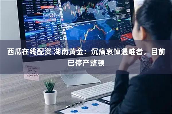 西瓜在线配资 湖南黄金：沉痛哀悼遇难者，目前已停产整顿