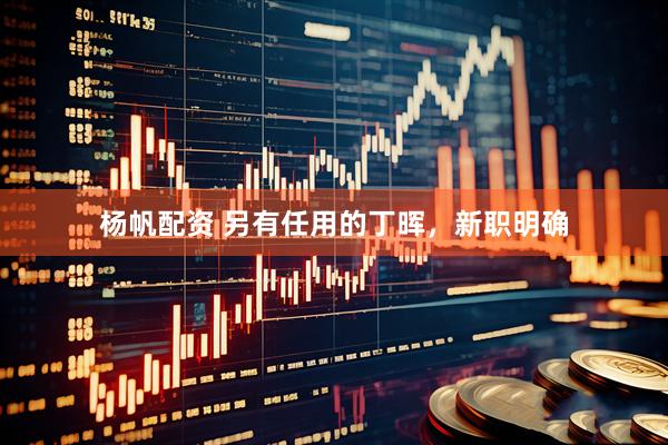 杨帆配资 另有任用的丁晖，新职明确