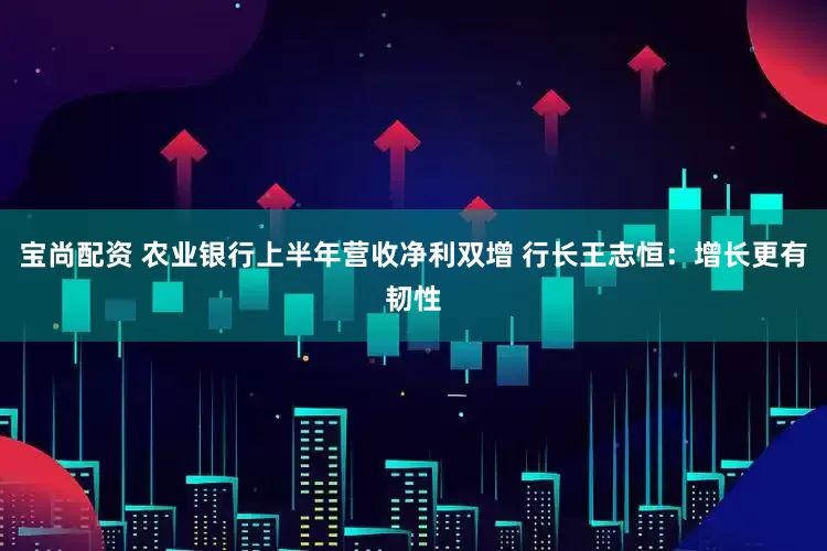 宝尚配资 农业银行上半年营收净利双增 行长王志恒：增长更有韧性
