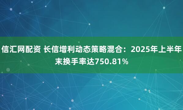 信汇网配资 长信增利动态策略混合：2025年上半年末换手率达750.81%