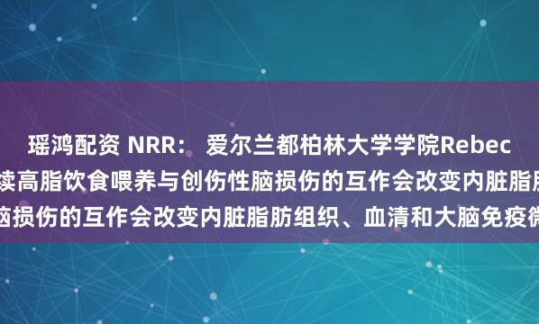 瑶鸿配资 NRR: 爱尔兰都柏林大学学院Rebecca J. Henry团队揭示持续高脂饮食喂养与创伤性脑损伤的互作会改变内脏脂肪组织、血清和大脑免疫微环境