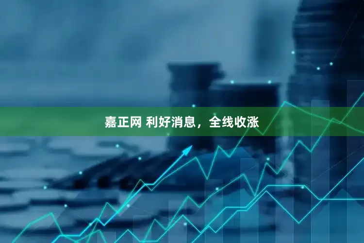 嘉正网 利好消息，全线收涨